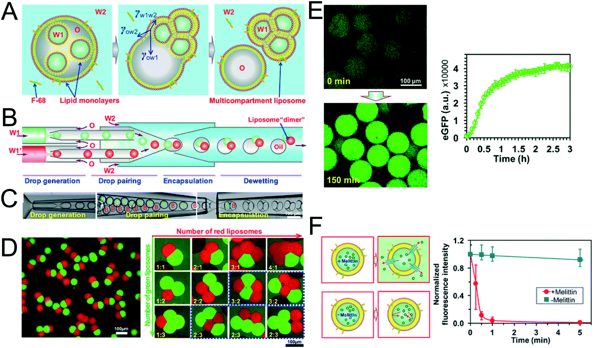 Droplet Microfluidics For The Construction Of Compartmentalised Model ...