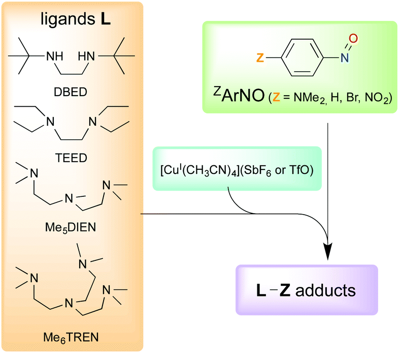 Ligand And Electronic Effects On Copper Arylnitroso Self Assembly New Journal Of Chemistry Rsc Publishing