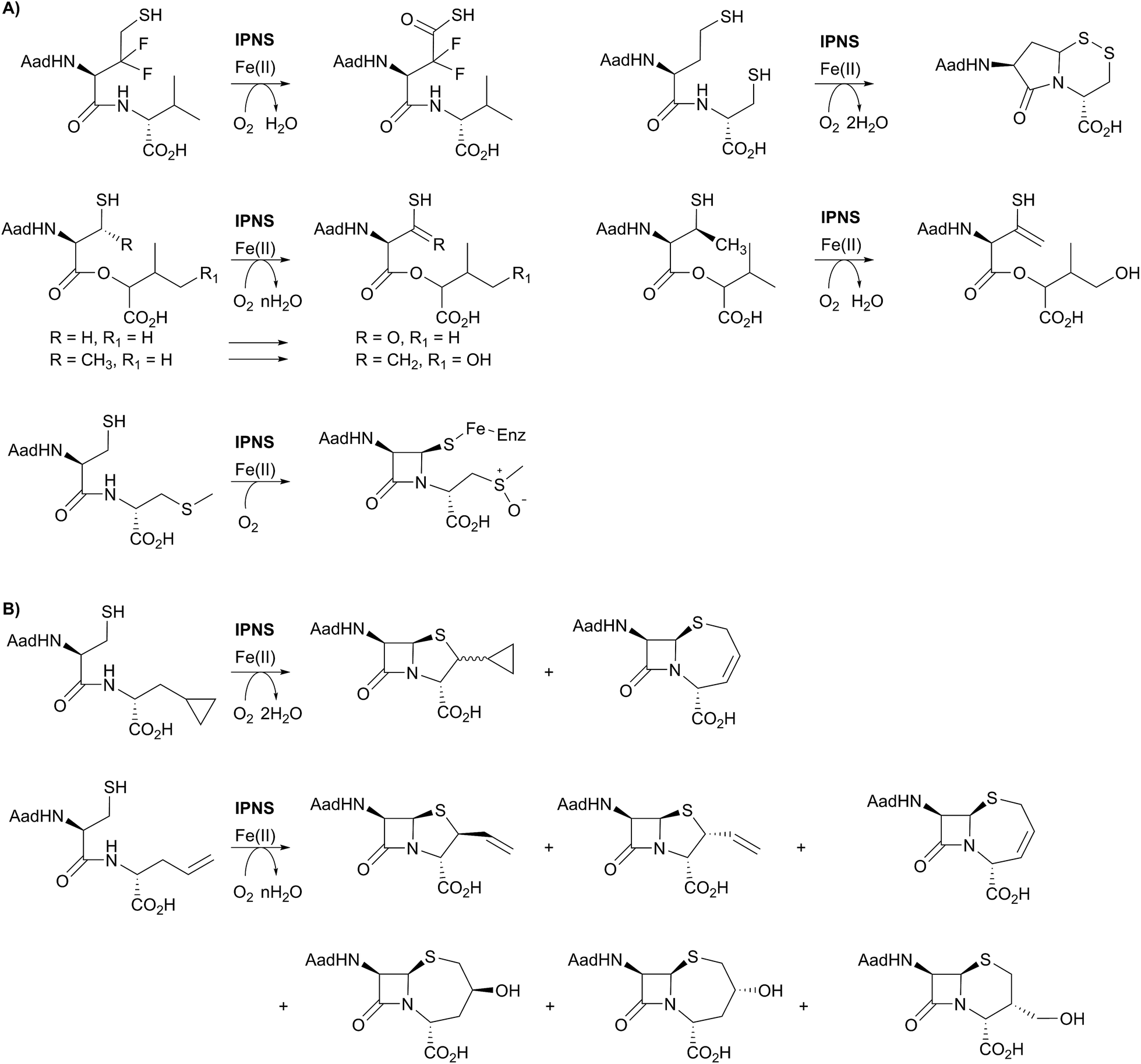 c8np00002f-f6_hi-res.gif