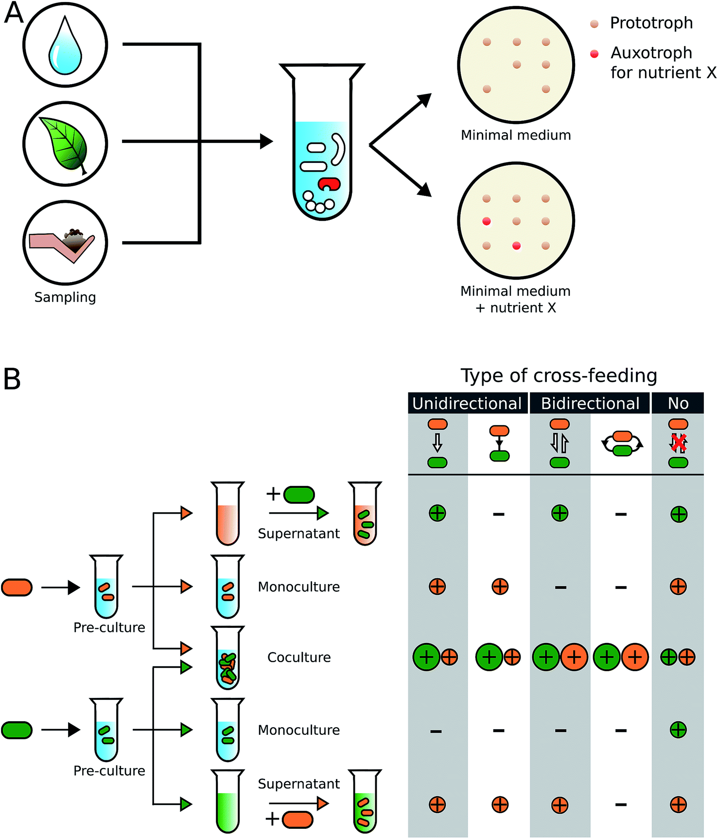 cross feeding experiment