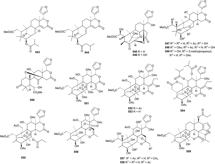 Triterpenoids Natural Product Reports Rsc Publishing