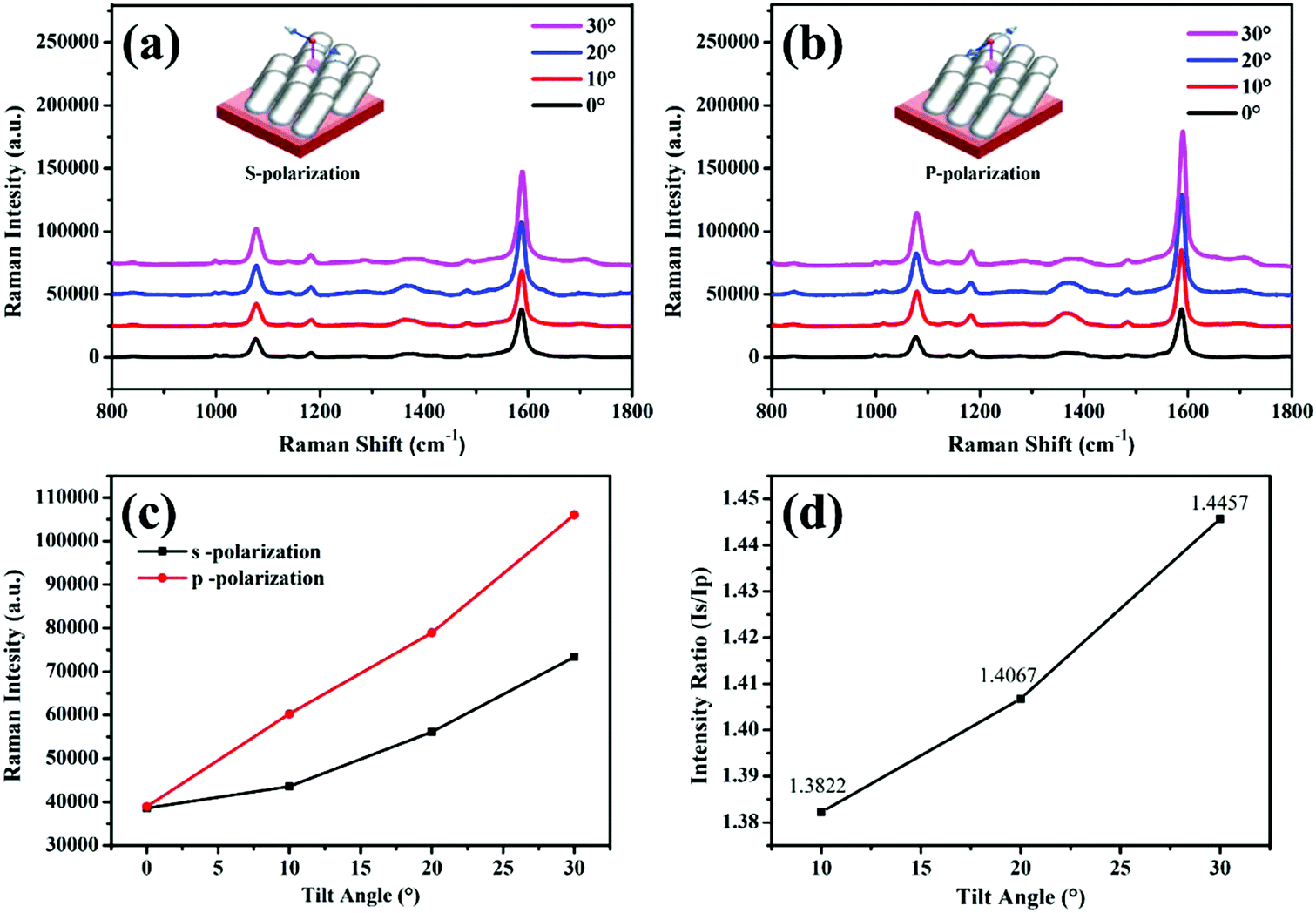 Polarized Spectroscopy of Ordered Systems