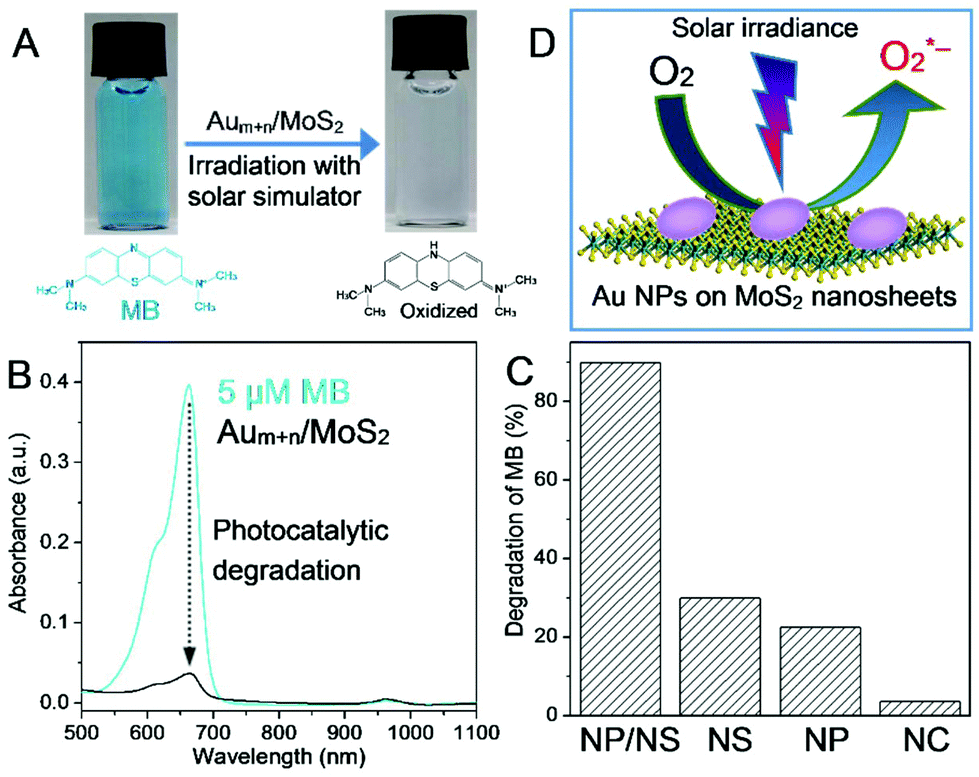 Bsa Caged Metal Clusters To Exfoliate Mos2 Nanosheets Towards Their Hybridized Functionalization Nanoscale Rsc Publishing