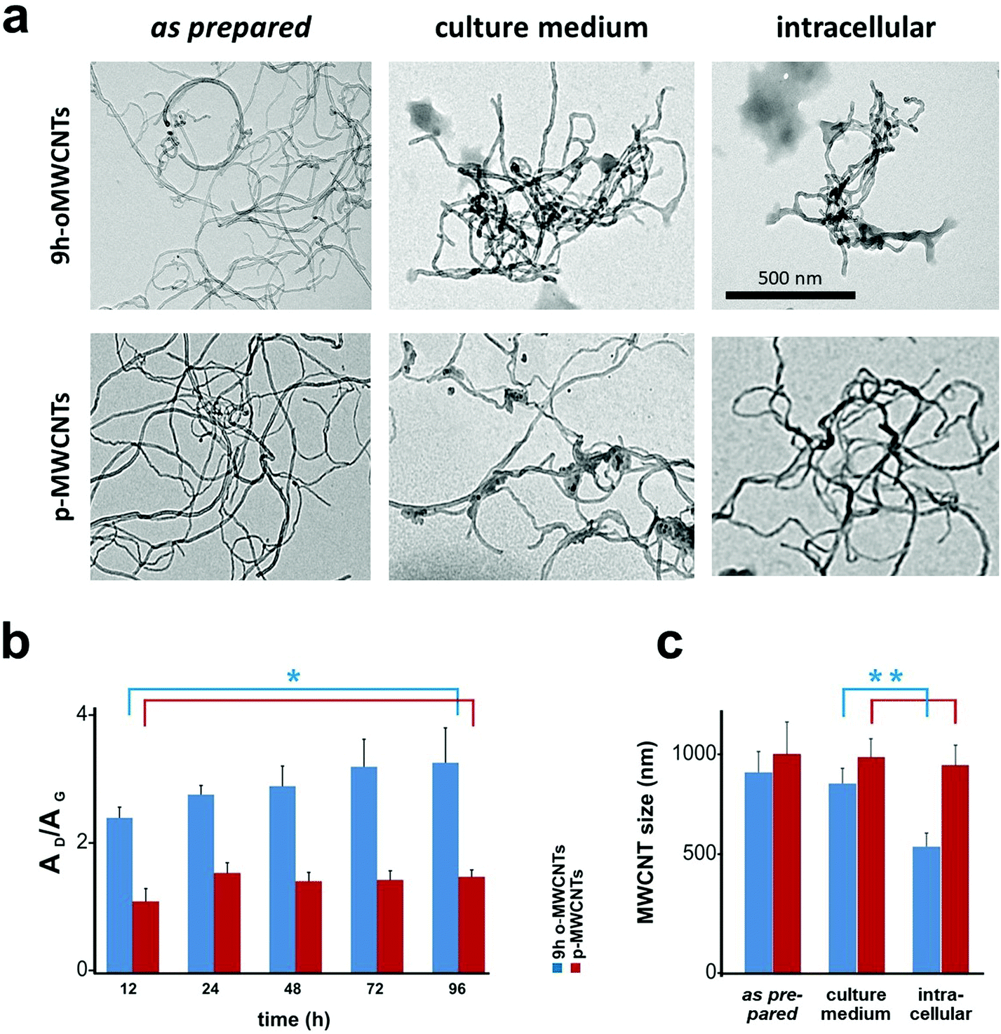 Biodegradable Multi Walled Carbon Nanotubes Trigger Anti Tumoral Effects Nanoscale Rsc Publishing Biodegradable Multi Walled Carbon Nanotubes Trigger Anti Tumoral Effects Nanoscale Rsc Publishing