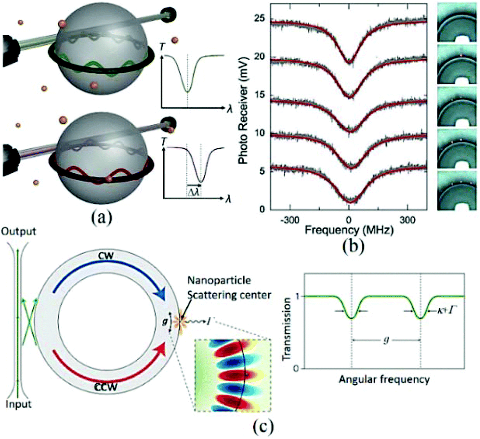 Optical Bio Chemical Sensors Based On Whispering Gallery Mode Resonators Nanoscale Rsc Publishing