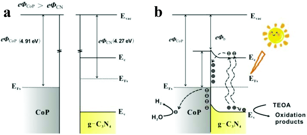 Enhanced Schottky Effect Of A 2d 2d Cop G C3n4 Interface For Boosting Photocatalytic H2 Evolution Nanoscale Rsc Publishing