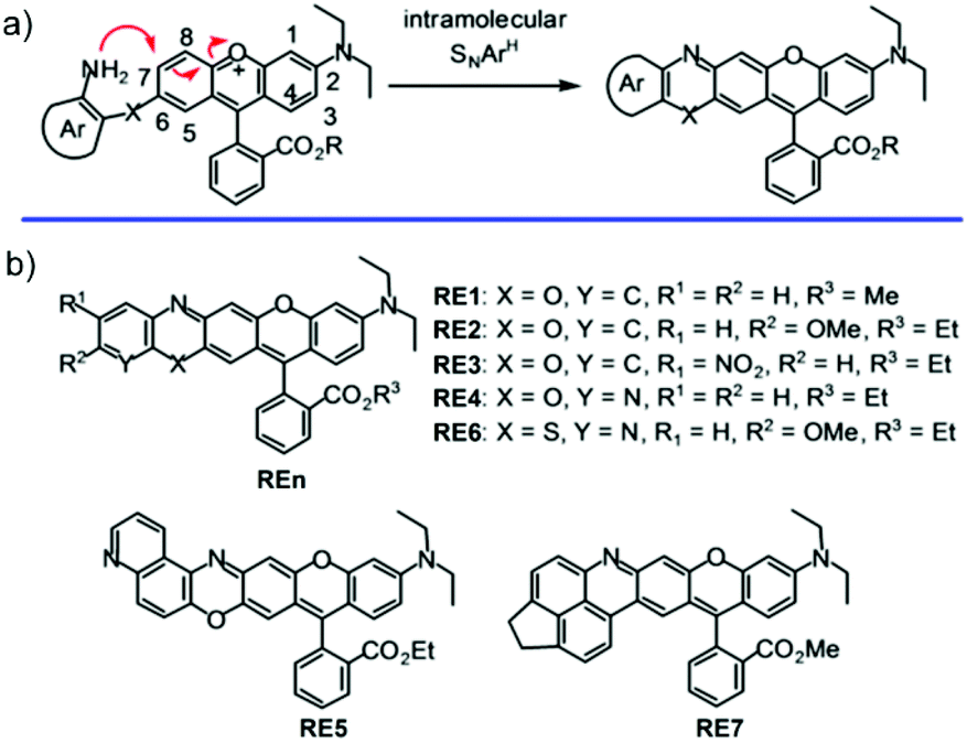 Synthesis Of Near Infrared Fluorescent Rhodamines Via An Snarh Reaction And Their Biological Applications Organic Biomolecular Chemistry Rsc Publishing