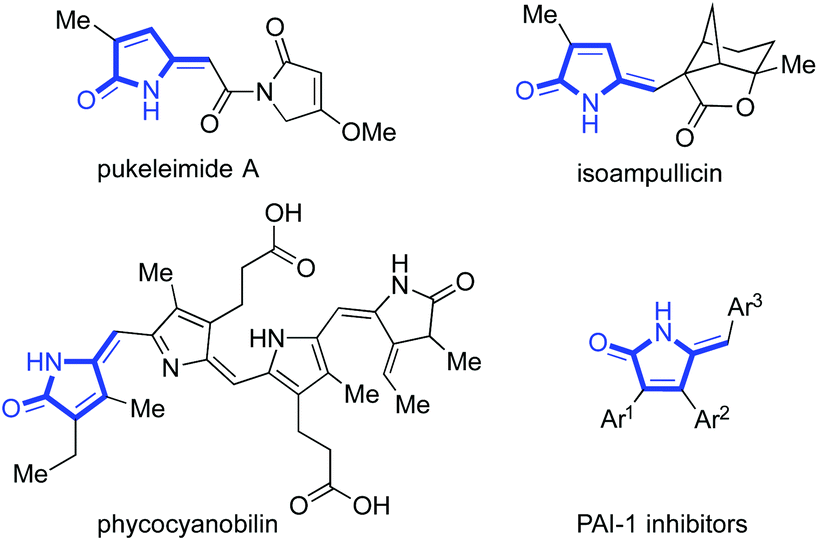 Copper-catalysed synthesis of alkylidene 2-pyrrolinone derivatives from ...