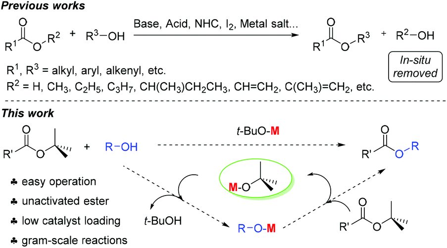 esterification real life examples