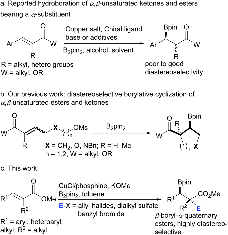 Copper Catalyzed Diastereoselective Synthesis Of B Boryl A Quaternary Carbon Carboxylic Esters Organic Biomolecular Chemistry Rsc Publishing