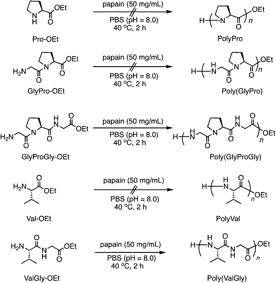 Chemoenzymatic Synthesis Of Polypeptides Consisting Of Periodic Di And