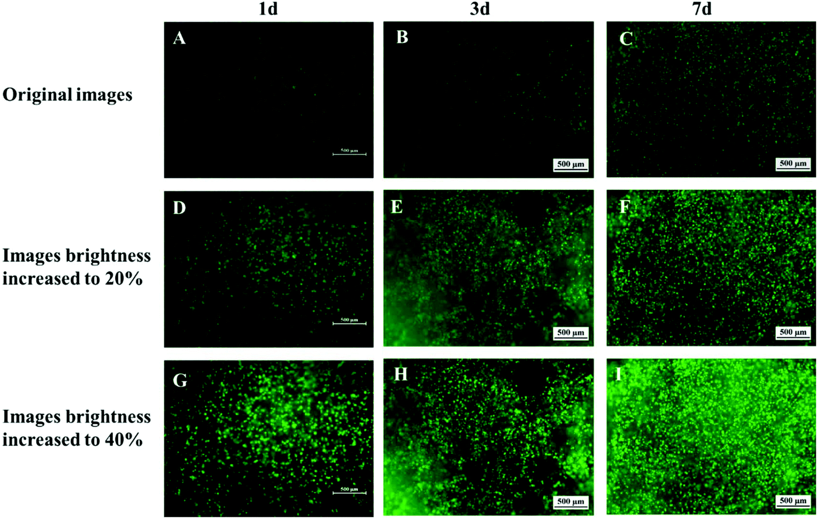 Correction An injectable hyaluronic acid/PEG hydrogel for cartilage