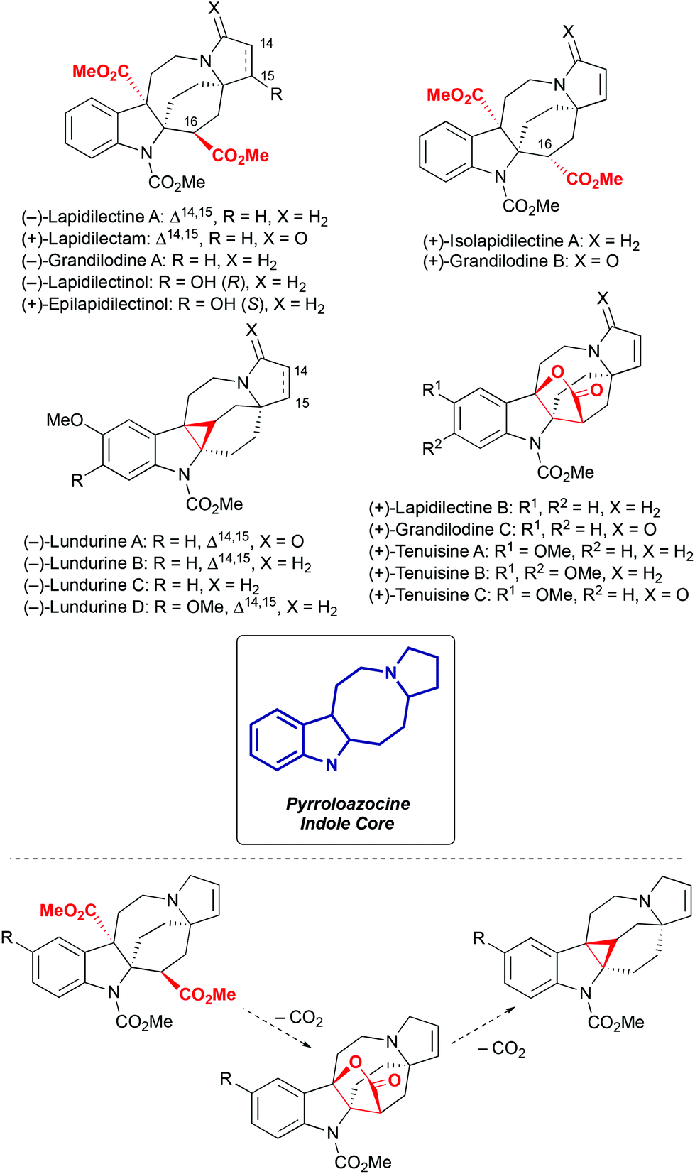 Total Syntheses Of Pyrroloazocine Indole Alkaloids Challenges And Reaction Discovery Organic Chemistry Frontiers Rsc Publishing