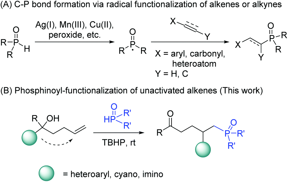 Phosphinoyl Functionalization Of Unactivated Alkenes Through Phosphinoyl Radical Triggered Distal Functional Group Migration Organic Chemistry Frontiers Rsc Publishing