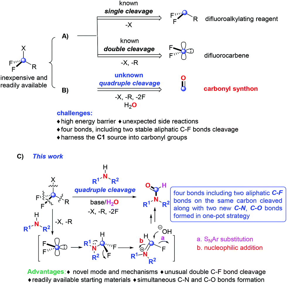 Halodifluoroacetates As Formylation Reagents For Various Amines Via Unprecedented Quadruple Cleavage Organic Chemistry Frontiers Rsc Publishing