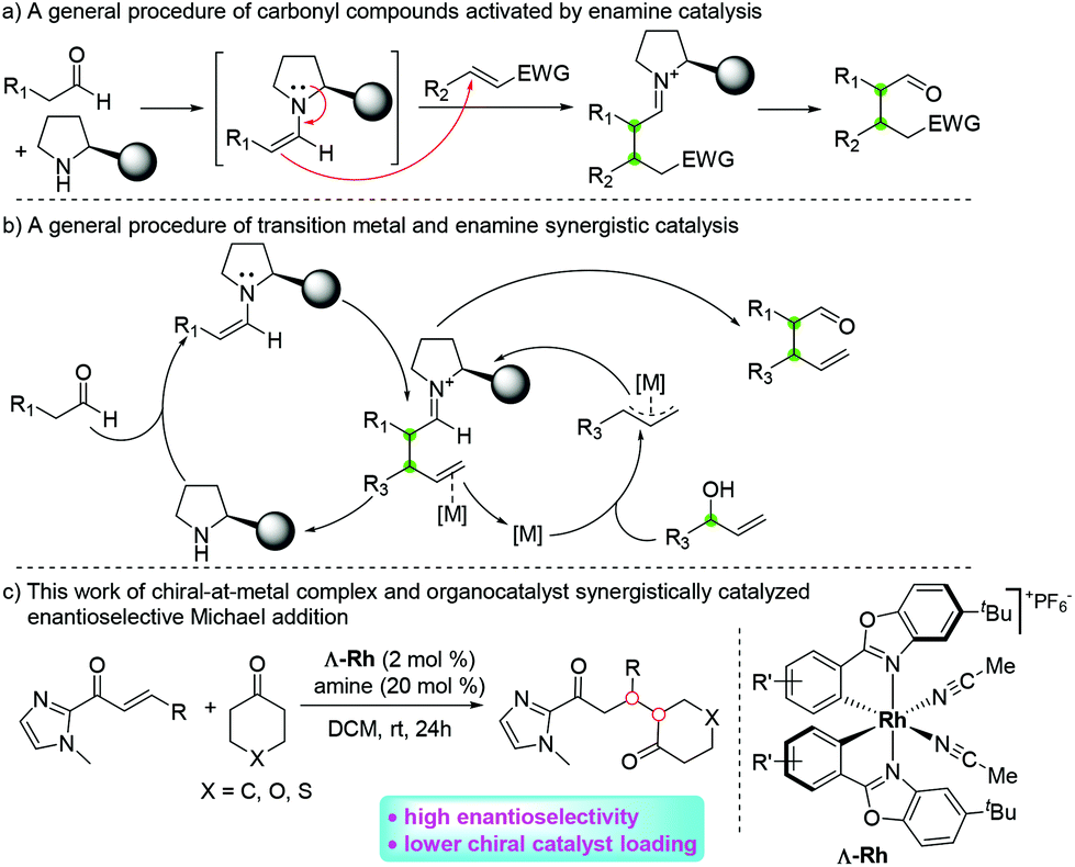 Rhodium Iii Amine Synergistically Catalyzed Enantioselective Michael Addition Of Cyclic Ketones With A B Unsaturated 2 Acyl Imidazoles Organic Chemistry Frontiers Rsc Publishing