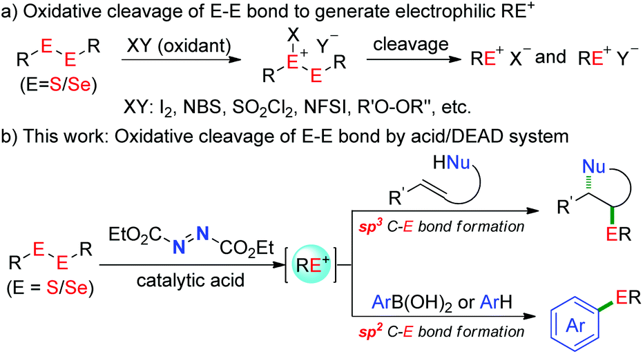Acid Catalyzed Oxidative Cleavage Of S S And Se Se Bonds With Dead Efficient Access To Sulfides And Selenides Organic Chemistry Frontiers Rsc Publishing