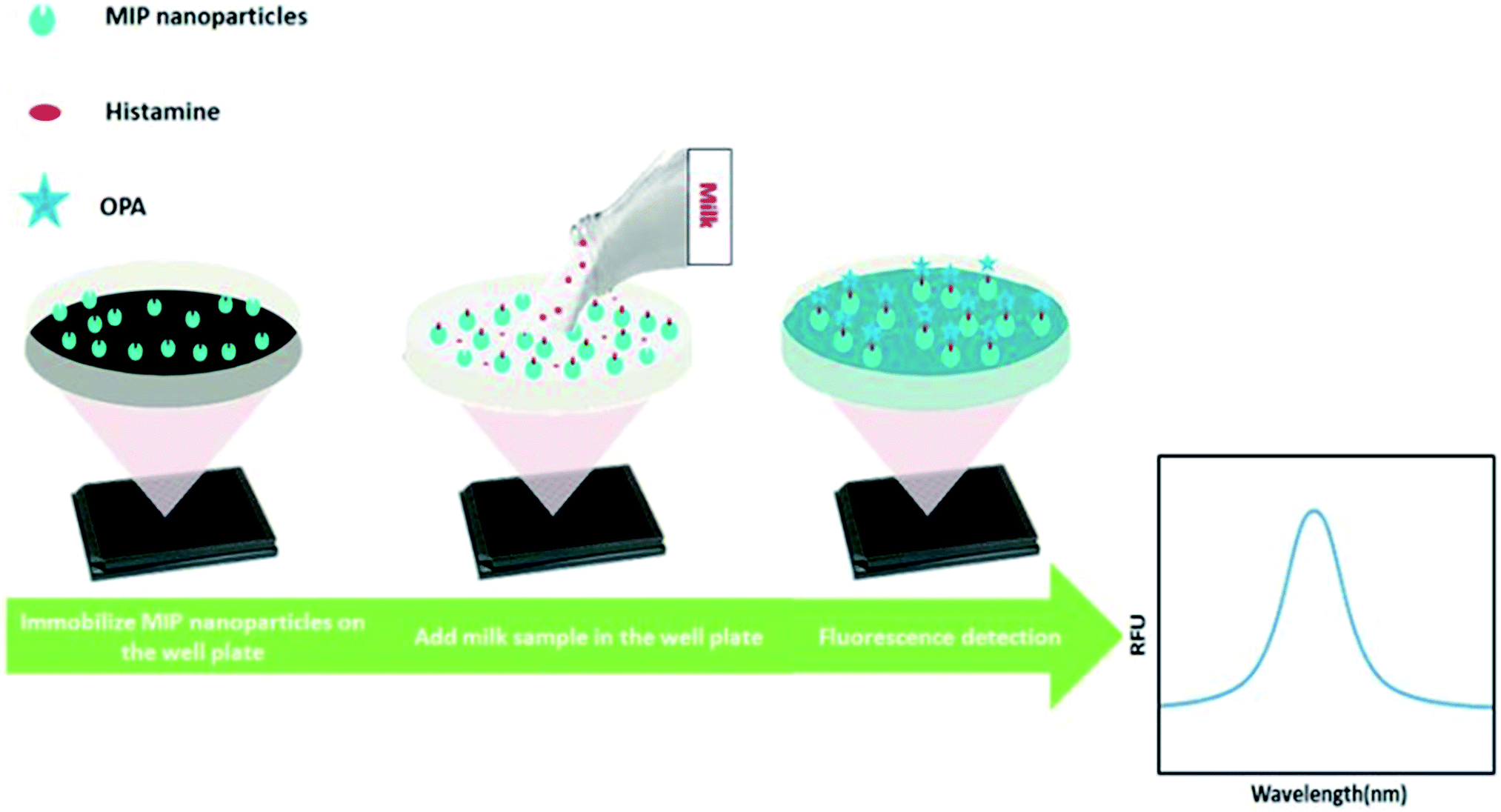 A Facile Molecularly Imprinted Polymer-based Fluorometric Assay For ...