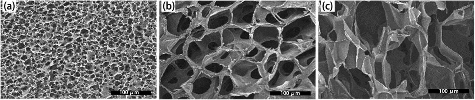 chitosan scaffolds