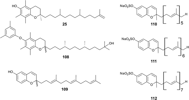 chromium polynicotinate and acarbose