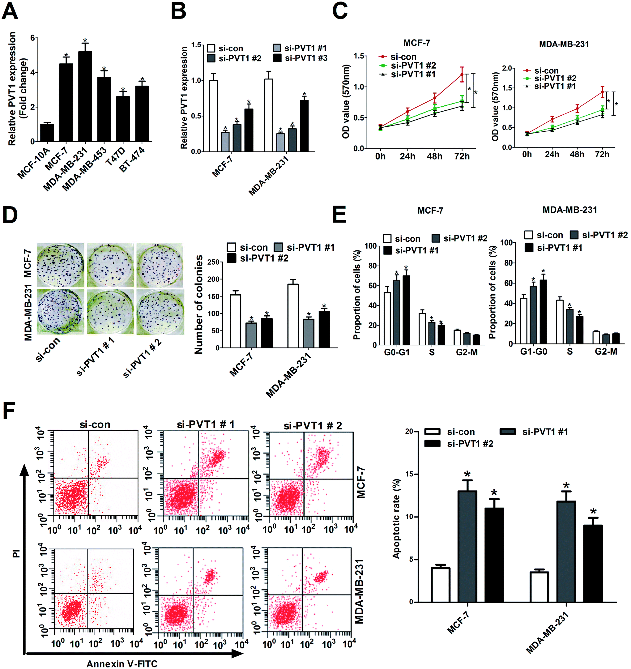 Long non-coding RNA PVT1 facilitates cell proliferation by ...