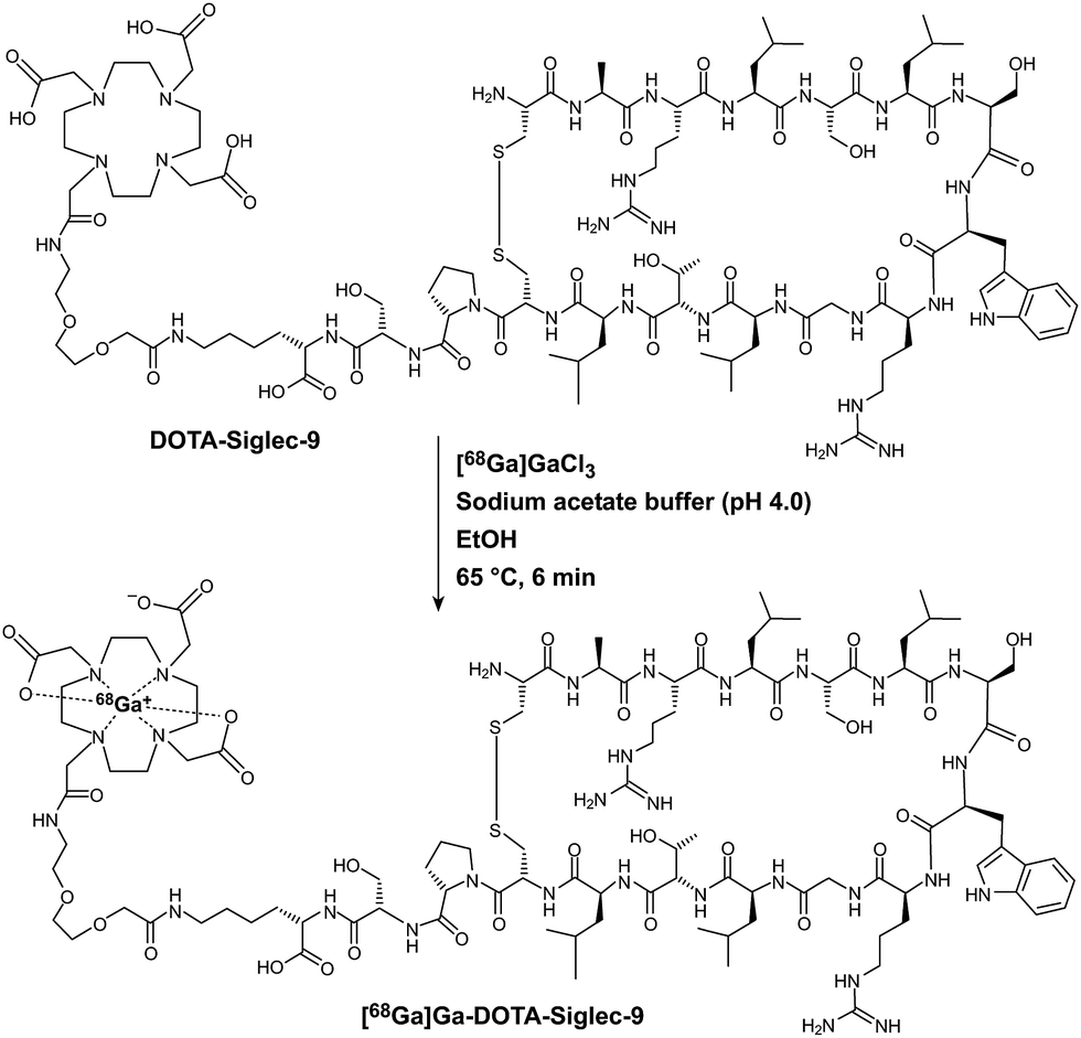 Adventures In Radiosynthesis Of Clinical Grade 68ga Ga Dota Siglec 9 Rsc Advances Rsc Publishing