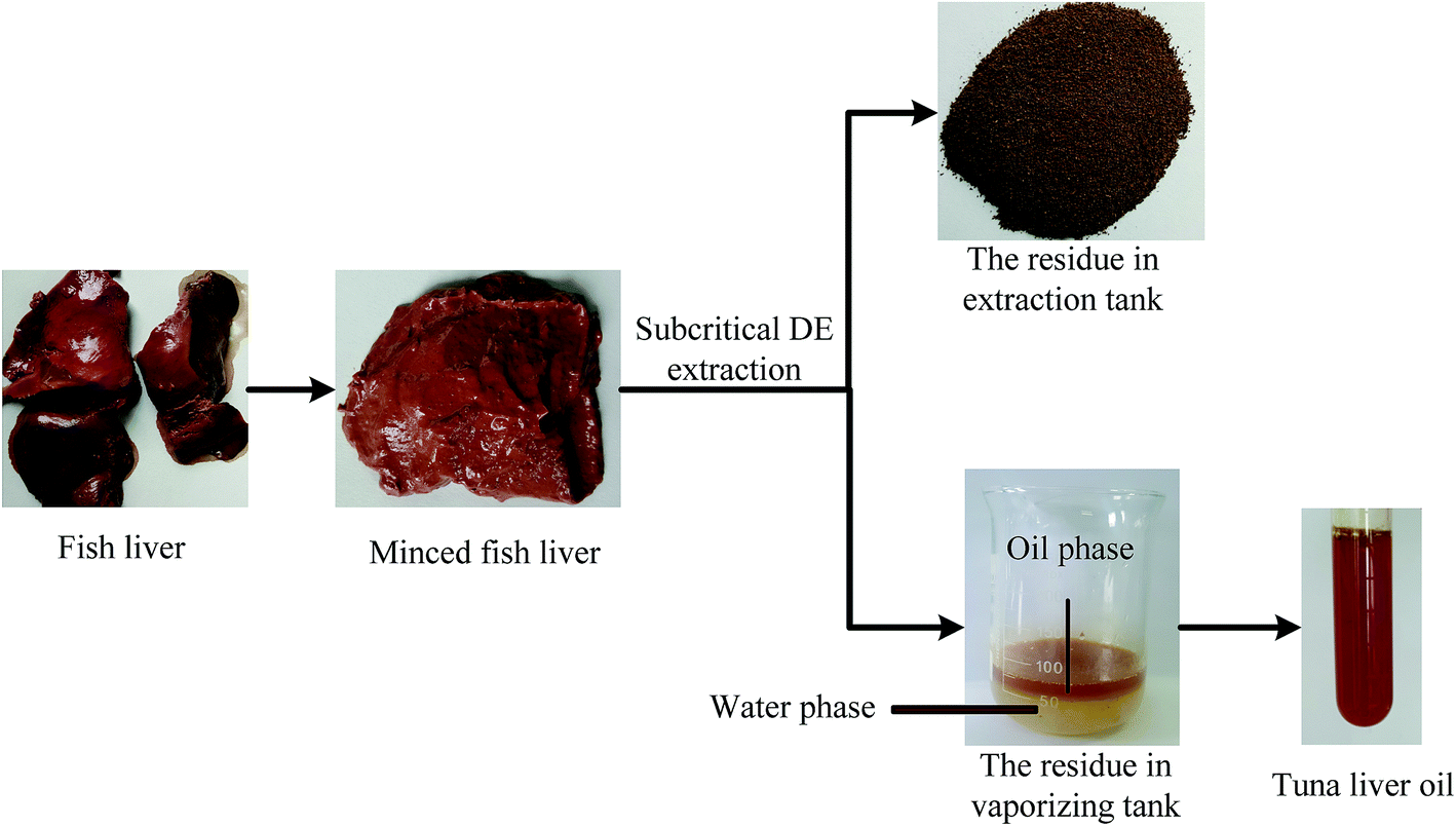 Extraction of oil from highmoisture tuna liver by subcritical dimethyl