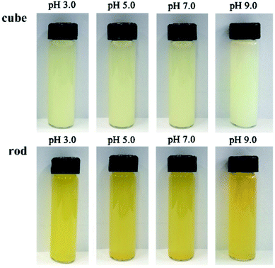 Morphology- and pH-dependent peroxidase mimetic activity of nanoceria ...