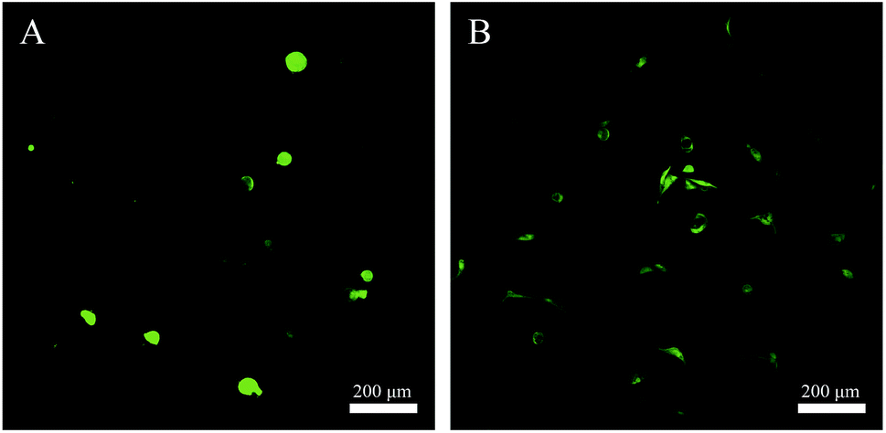 Alginate based antimicrobial hydrogels formed by integrating Diels ...