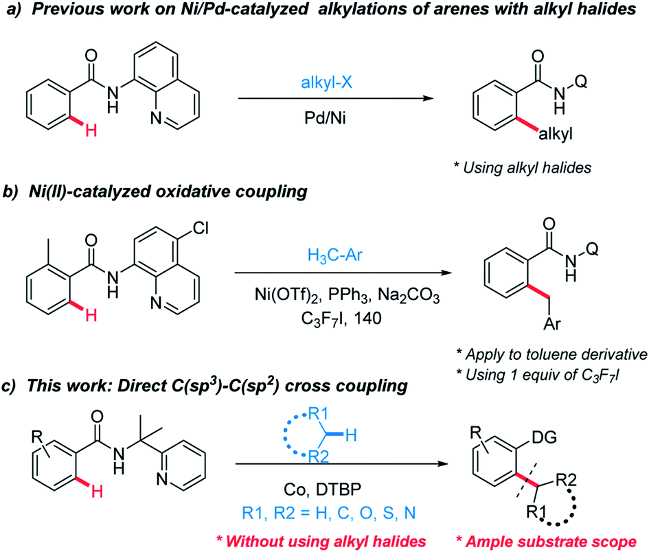 Cobalt Catalyzed C Sp3 H C Sp2 H Oxidative Coupling Between Alkanes And Benzamides Rsc Advances Rsc Publishing