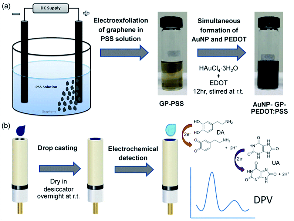 A facile onepot green synthesis of gold nanoparticlegraphenePEDOT