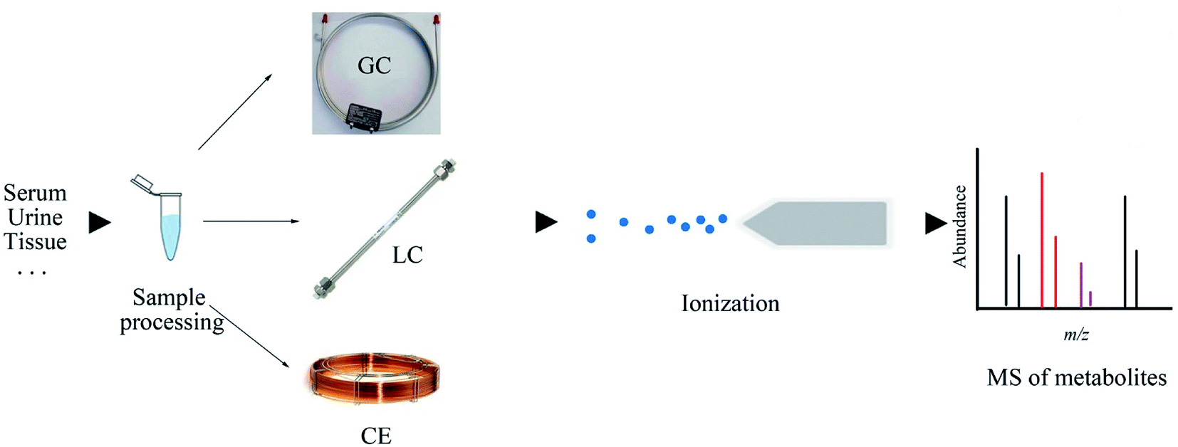 Advances In Mass Spectrometry Based Metabolomics For Investigation Of Metabolites Rsc Advances Rsc Publishing