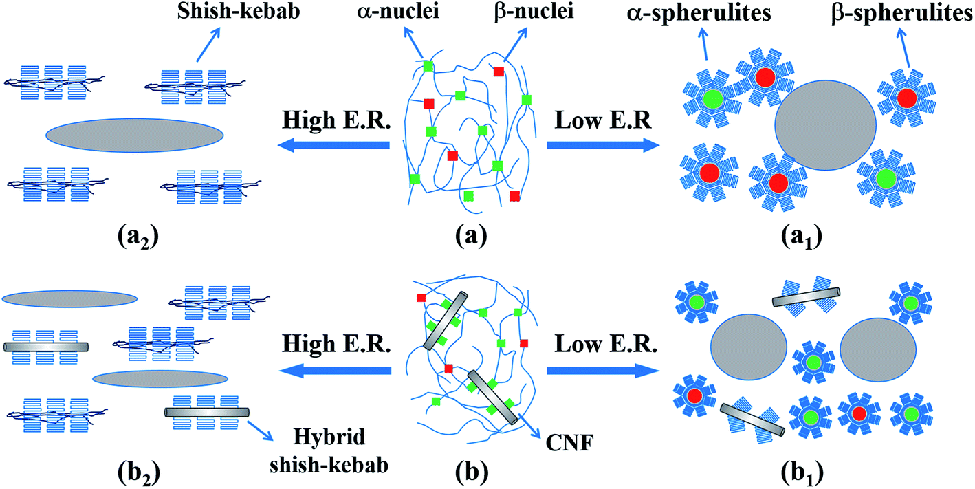 Evolution Of Cellular Morphologies And Crystalline Structures In High ...