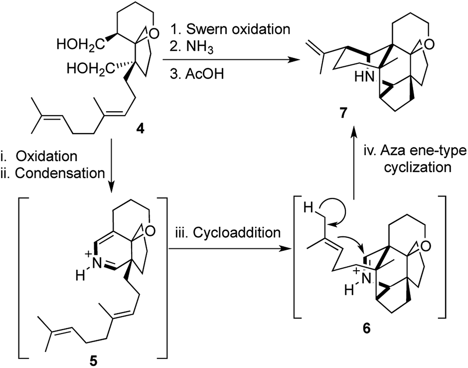 A new and informative [a,b,c,d] nomenclature for one-pot multistep ...