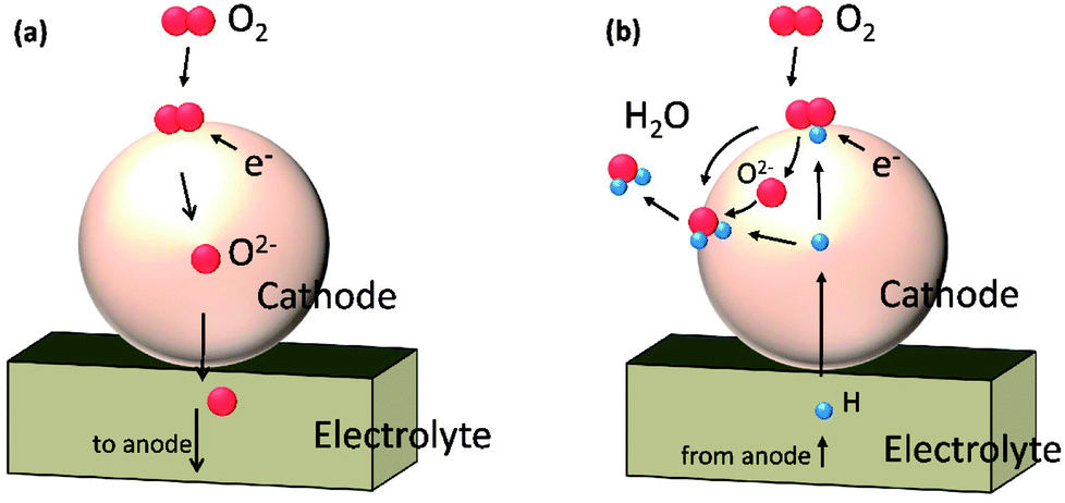 cathode reaction of kcl2