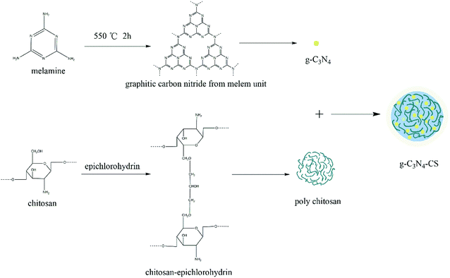 Regenerable G C 3 N 4 –chitosan Beads With Enhanced Photocatalytic