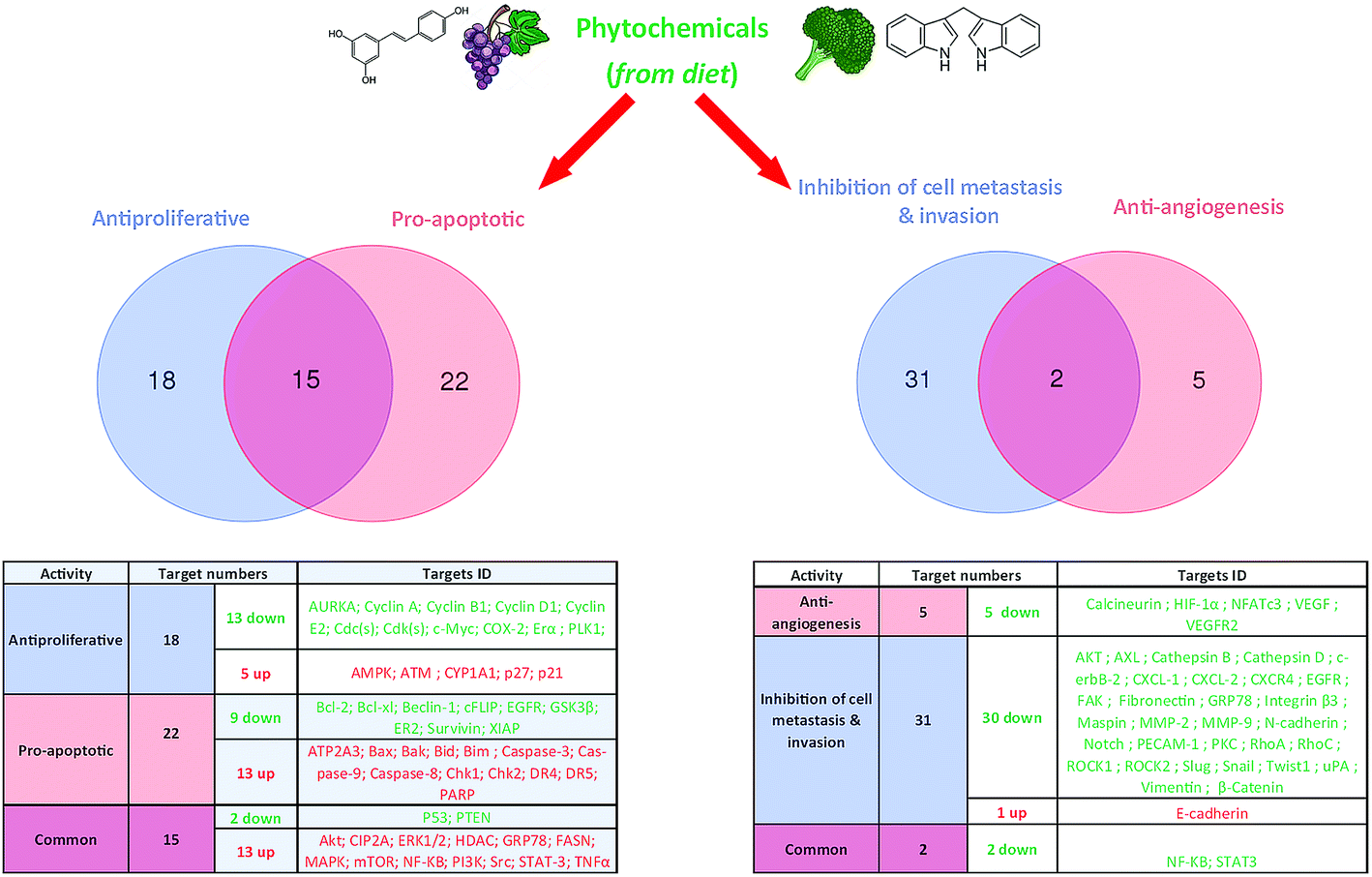 Invasion and metastasis. Phytochemicals. Ген grp143. RSC MSC.