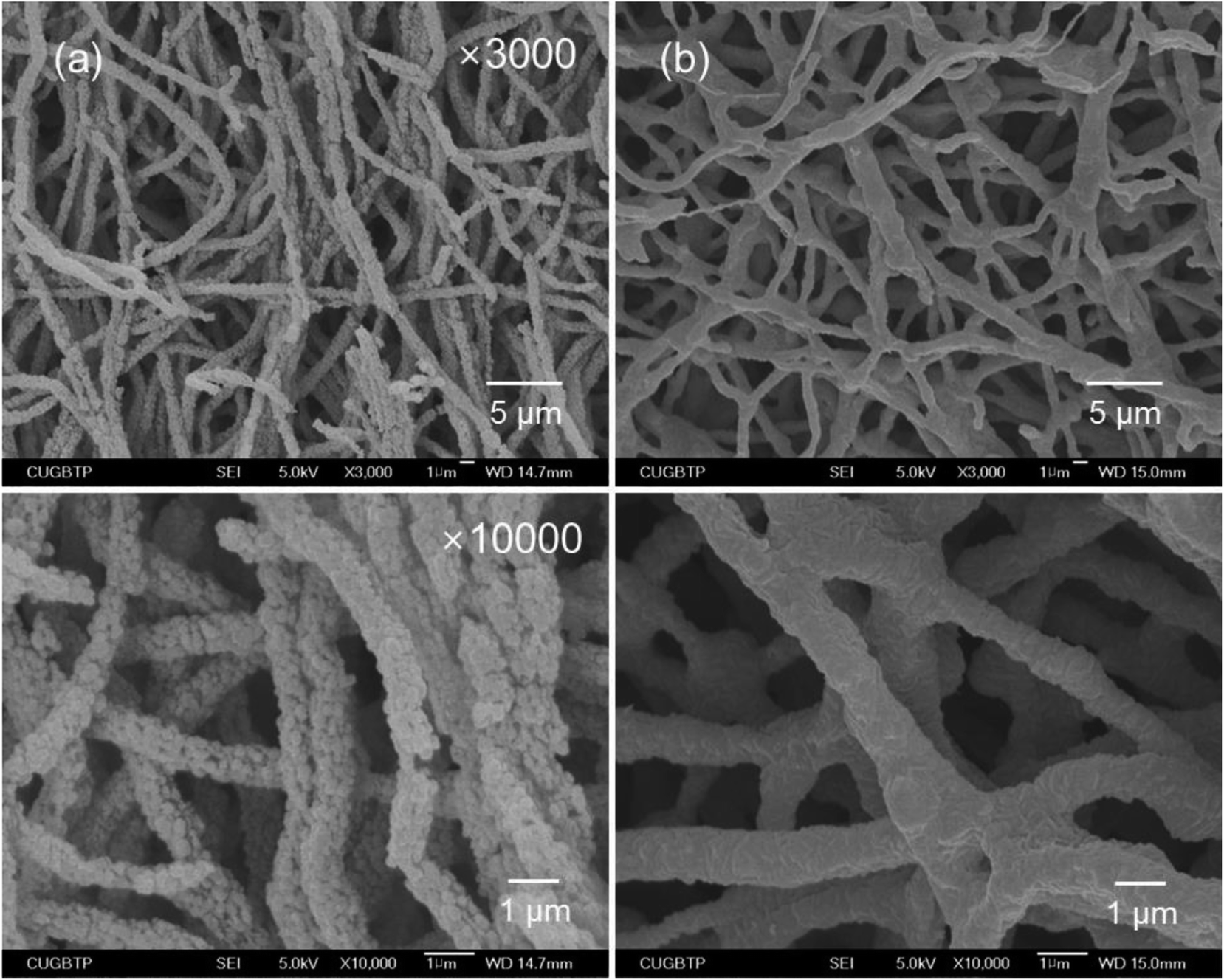 Fabrication Of Polytetrafluoroethylene Nanofibrous Membranes For Guided ...