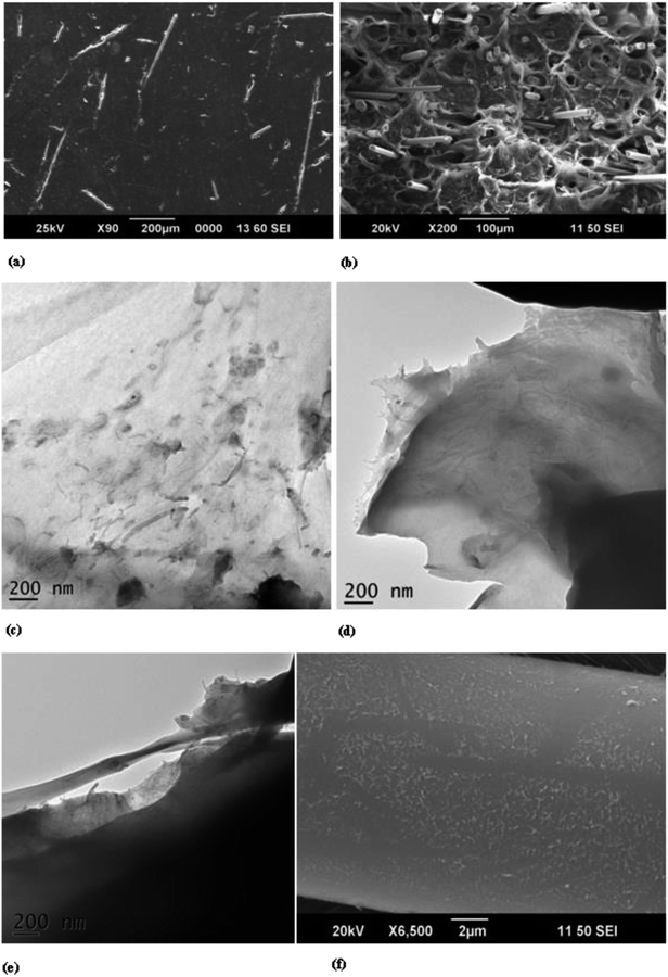 Nonisothermal crystallization of polypropylene/short glass