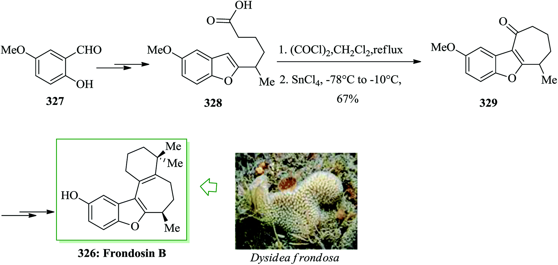 Applications of Friedel–Crafts reactions in total synthesis of natural ...