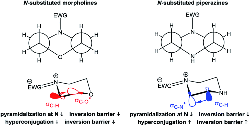 Nmr Based Investigations Of Acyl Functionalized Piperazines