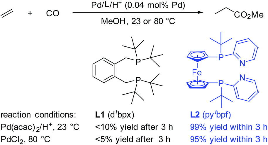 Cooperative Catalytic Methoxycarbonylation Of Alkenes Uncovering The