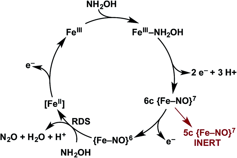 Influences of the heme-lysine crosslink in cytochrome P460 over redox ...