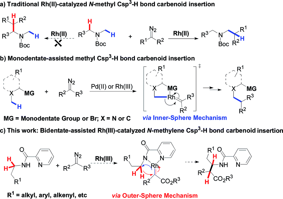 Rh Iii Catalyzed Regioselective Intermolecular N Methylene Csp3 H Bond Carbenoid Insertion Chemical Science Rsc Publishing