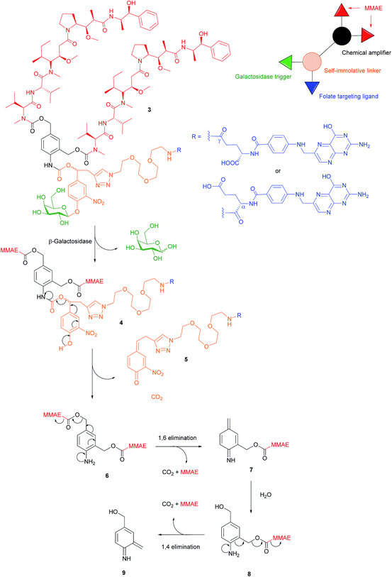 Advances in targeting the folate receptor in the treatment/imaging of ...