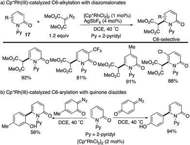 A lesson for site-selective C–H functionalization on 2-pyridones ...