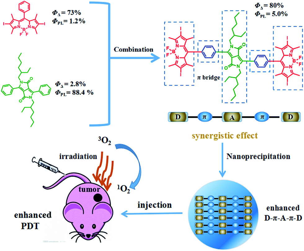 Photosensitizer Synergistic Effects D A D Structured Organic Molecule With Enhanced Fluorescence And Singlet Oxygen Quantum Yield For Photodynamic Therapy Chemical Science Rsc Publishing