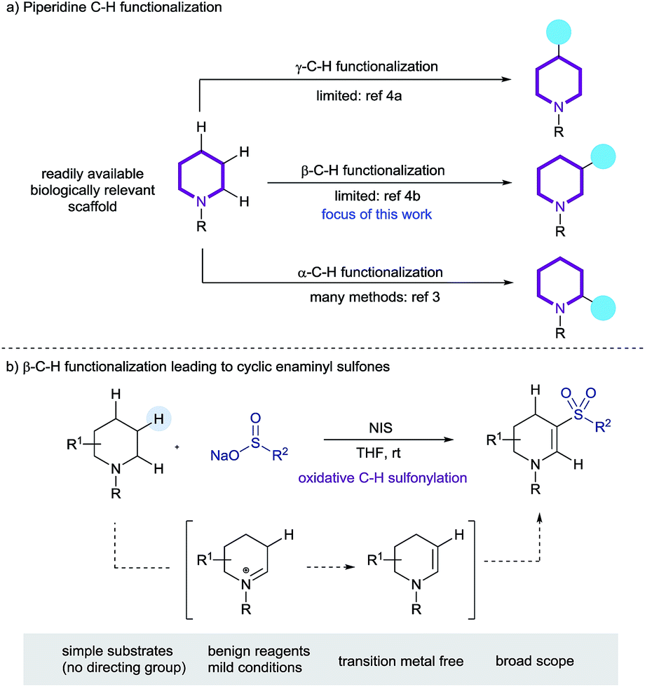 Oxidative B C H Sulfonylation Of Cyclic Amines Chemical Science Rsc Publishing