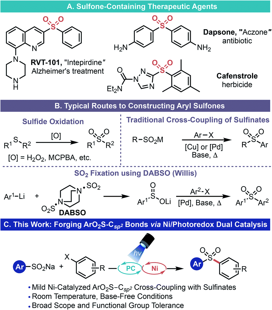 Engaging Sulfinate Salts Via Ni Photoredox Dual Catalysis Enables Facile Csp2 So2r Coupling Chemical Science Rsc Publishing