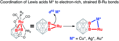 Expansion of the (BB)[double bond splayed left]Ru metallacycle with ...